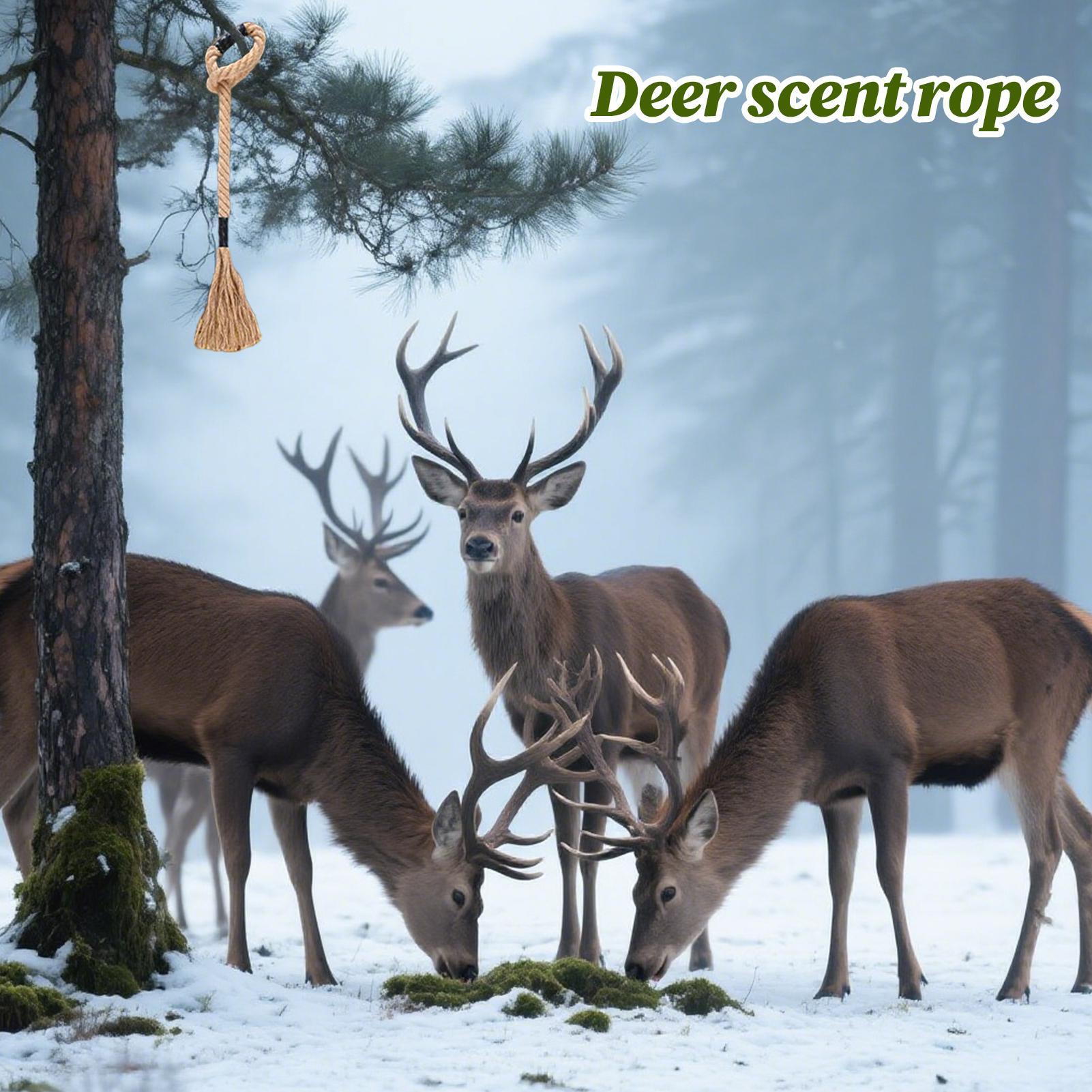 사슴 향 로프 효과적인 장기 지속 유인제 스크래치 태슬 - Deer Attractant Scent 리뷰 및 가격