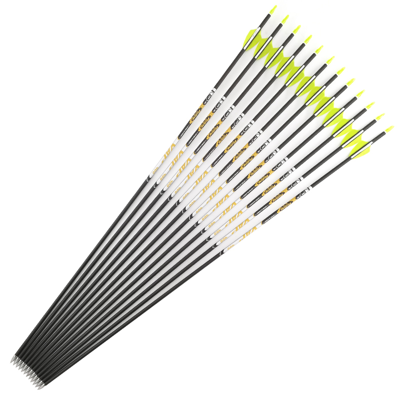 양궁 스파인 350 400 450 500 600 700 - Hunting Bow Compound 리뷰 및 가격