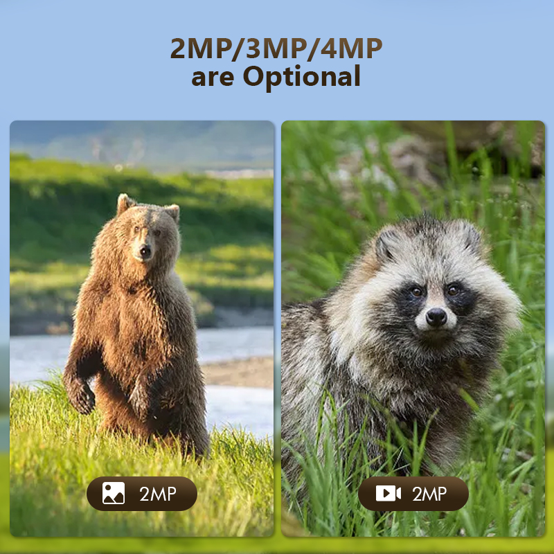 4G 4MP 야외 야생 동물 사냥 트레일 게임 카메라  - Hunting Outdoor Game 리뷰 및 가격